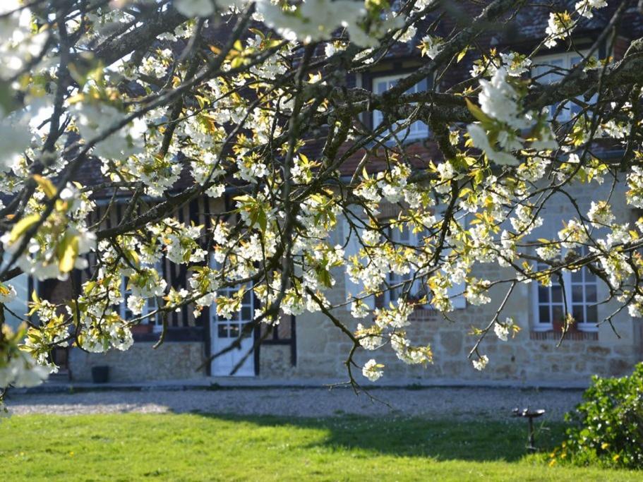 Maison D'Hotes La Bihoree Saint-Germain-de-Livet Dış mekan fotoğraf